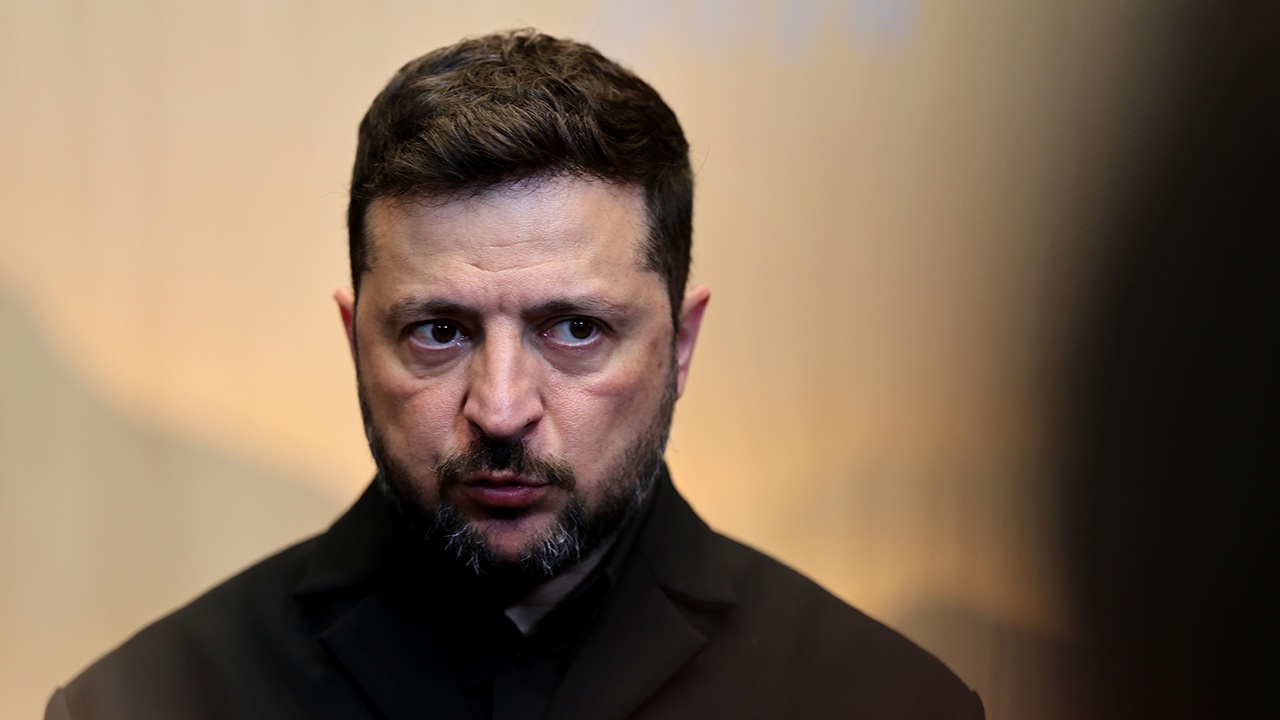 Экс-секретарь Зеленского Мендель назвала правительство Украины паразитами