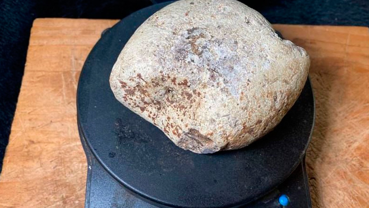 Мальдивианин нашел в море кусок амбры стоимостью миллионы рублей
