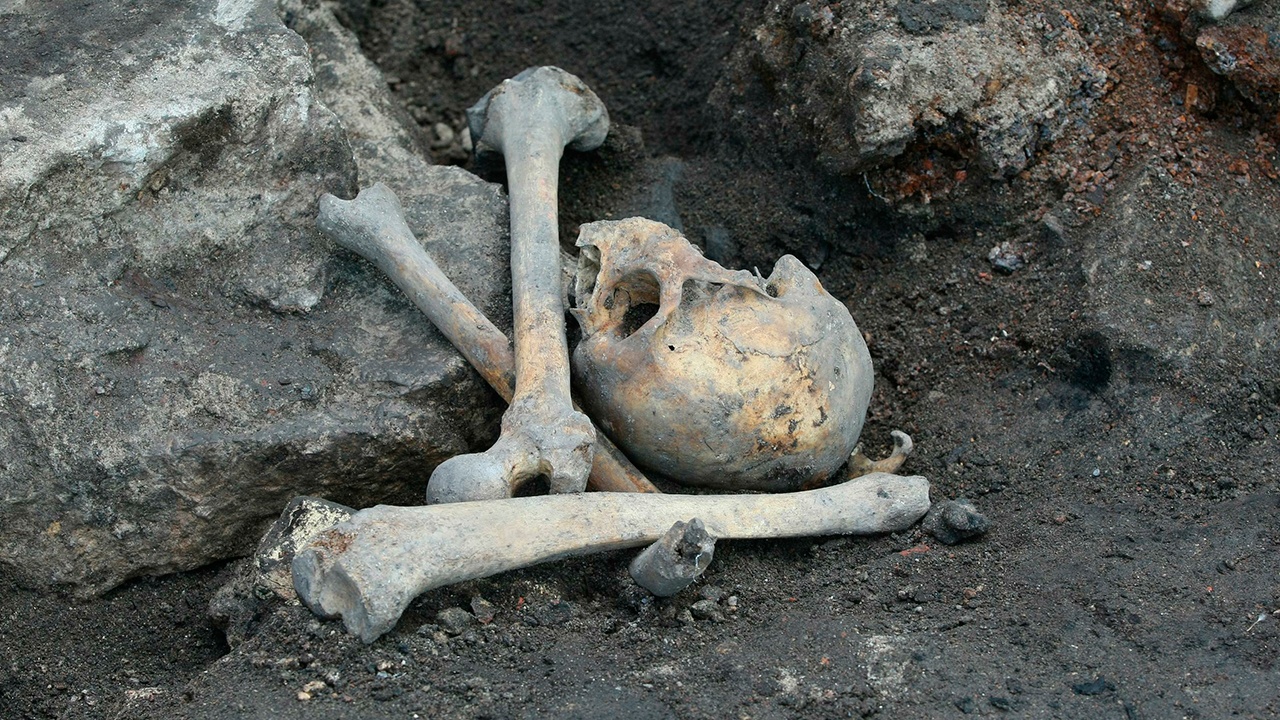 В Старой Руссе обнаружили нетипичное женское погребение XII-XIII веков
