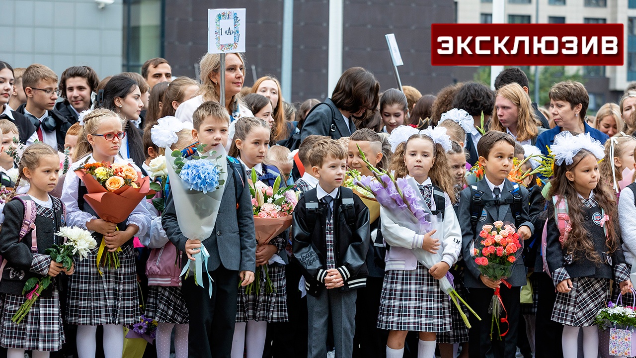 Эксперт назвала самые популярные схемы мошенников к 1 сентября