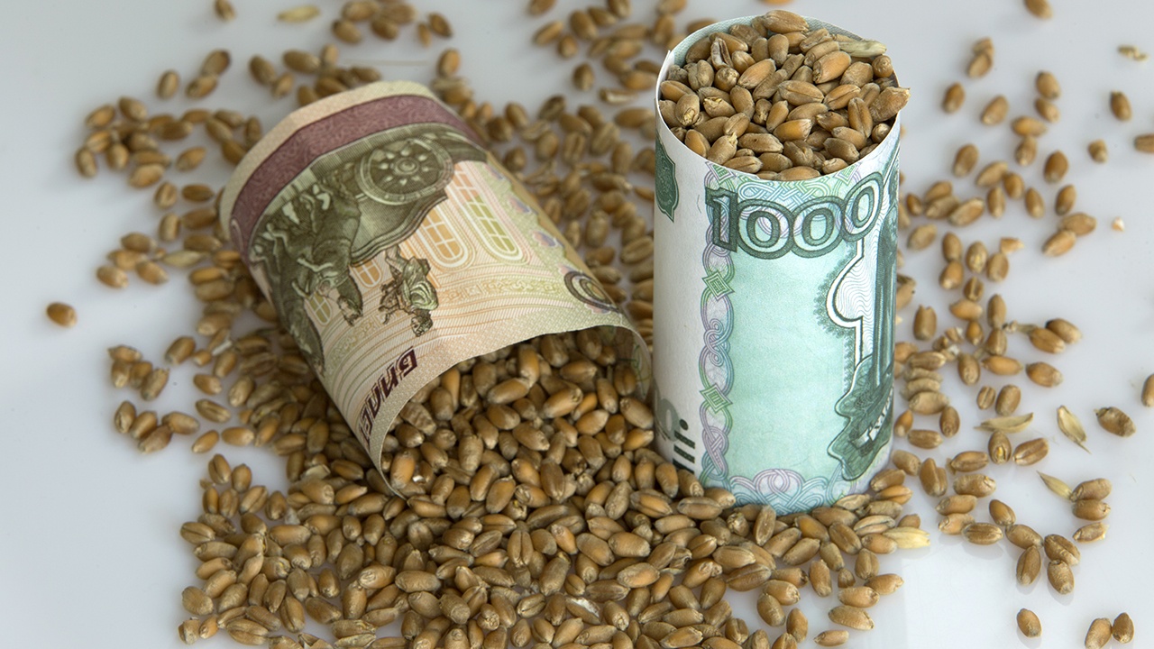 Латвия планирует ввести пошлину в 300% на российское зерно