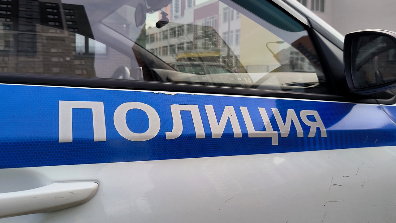 Сотрудник полиции погиб в Подмосковье при задержании подозреваемого