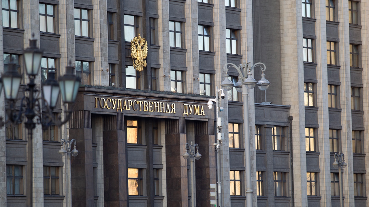 Первый депутат Госдумы IX созыва подала заявление на сложение полномочий 