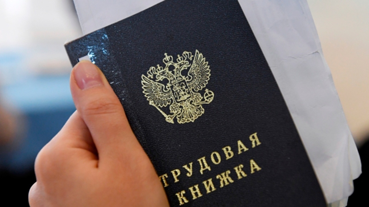 Продавцы и водители стали самыми востребованными профессиями в России