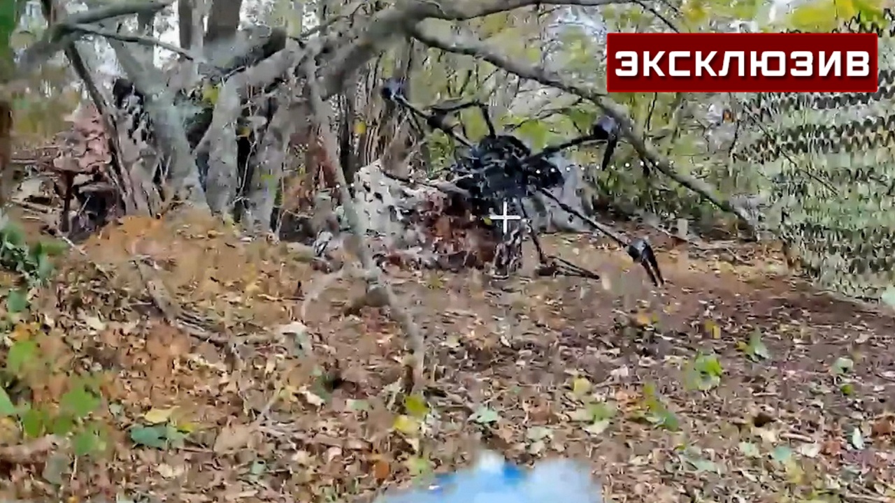 Болота, минные поля и колючая проволока: как ВС РФ освобождали Голубково