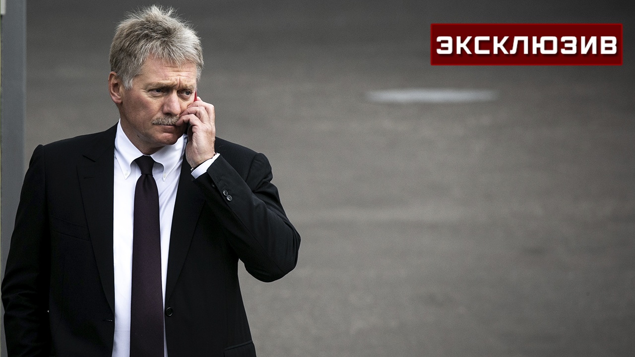 Песков: российские дипломаты займутся защитой прав основателя «Рыбаря»