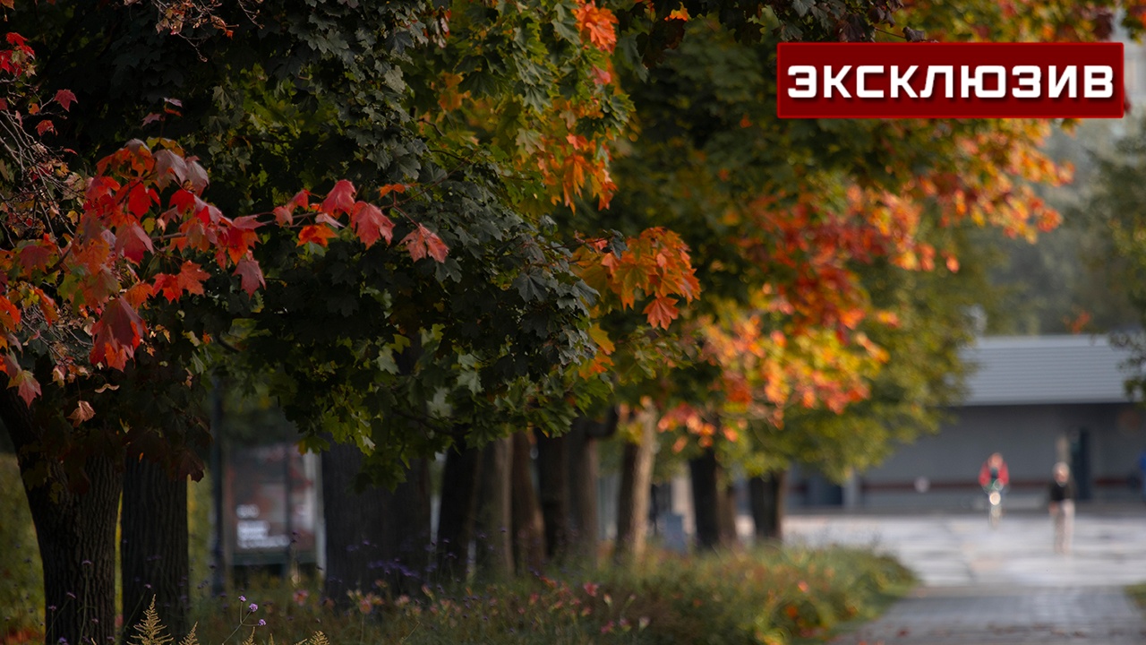 Воскресенье в Москве станет переходным днем к более холодной осени
