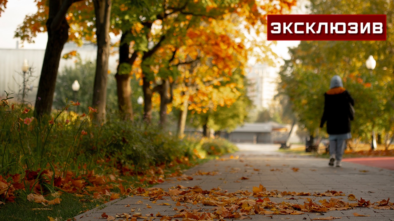 Конец октября порадует москвичей аномально теплой и солнечной погодой