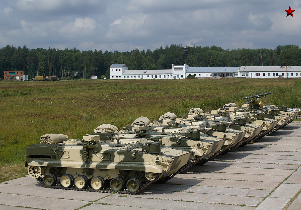 Хризантема военная техника фото